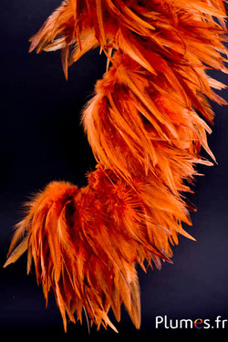 Hahnenfederkragen - Federlänge 10-15 cm - wilde Glut